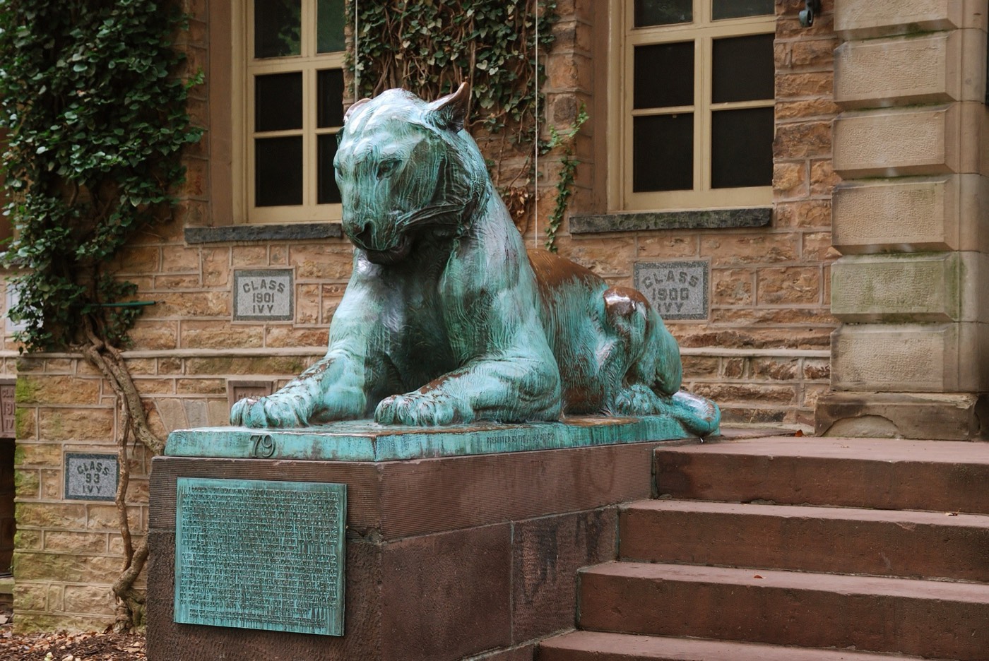Princeton Üniversitesi'ndeki bronz kaplan heykeli
